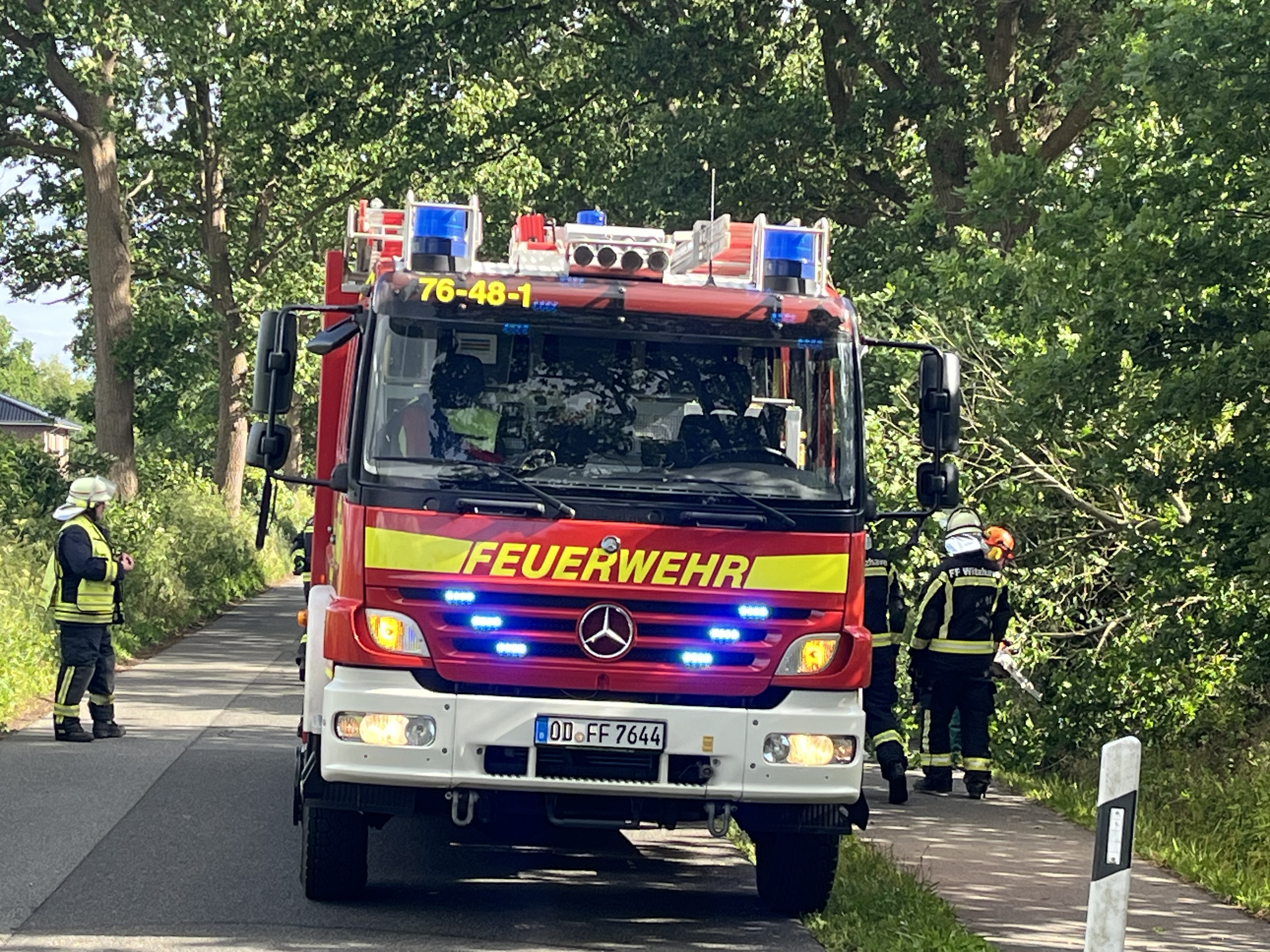 #EinsatzFFW 20 🚒🚨 13.06.2026 ⏰ 17:48 Uhr | 📟 TH K 00, Baum auf Gehweg